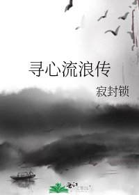 寻心流浪传