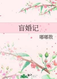 盲婚记