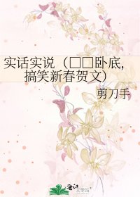 实话实说(□□卧底,搞笑新春贺文)