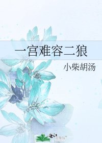 一宫难容二狼