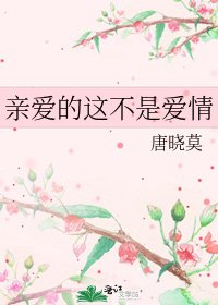 亲爱的这不是爱情