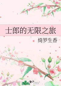 士郎的无限之旅