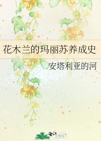 花木兰的玛丽苏养成史