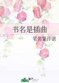 书名是插曲