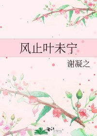 风止叶未宁