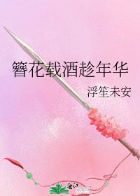 簪花载酒趁年华