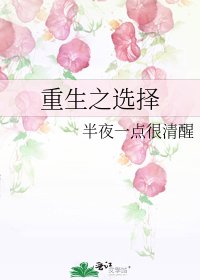 重生之选择