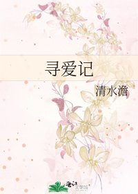 寻爱记