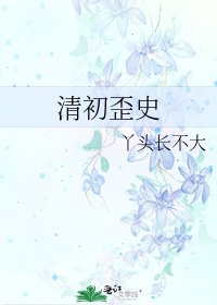 清初歪史