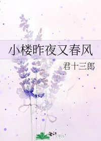 小楼昨夜又春风