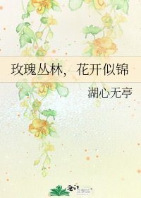 玫瑰丛林,花开似锦