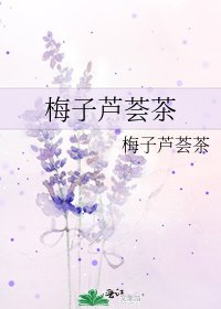 梅子芦荟茶