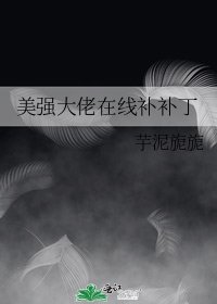 美强大佬在线补补丁