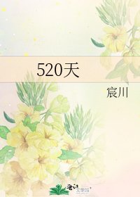 520天
