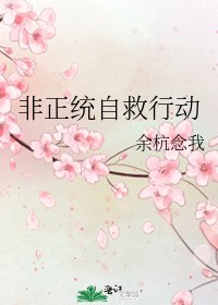 非正统自救行动