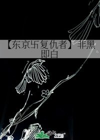 【东京卐复仇者】非黑即白
