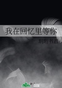 我在回忆里等你
