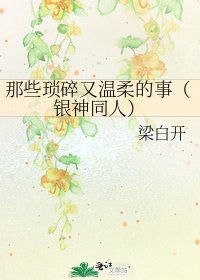那些琐碎又温柔的事(银神同人)