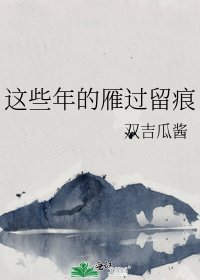 这些年的雁过留痕