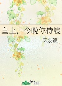 皇上,今晚你侍寝