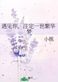 遇见你,注定一世繁华梦