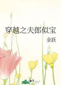 穿越之夫郎似宝