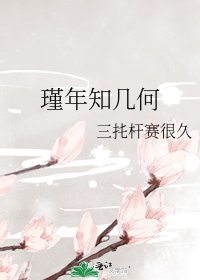 瑾年知几何