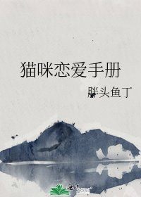 猫咪恋爱手册