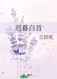 迟暮白首