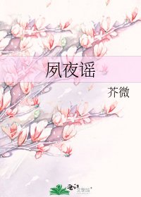 夙夜谣