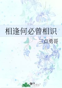 相逢何必曾相识