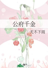 公府千金