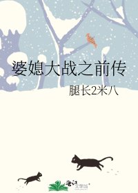 婆媳大战之前传