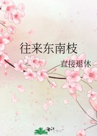 往来东南枝