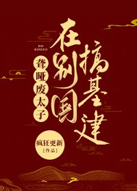聋哑废太子在别国搞基建