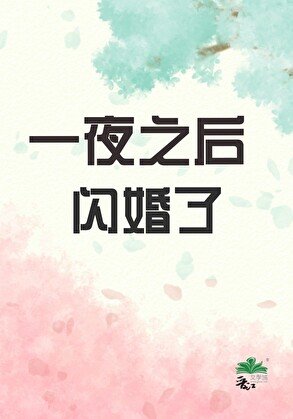 一夜之后闪婚了