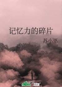 记忆力的碎片