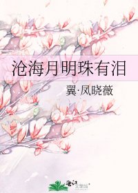 沧海月明珠有泪