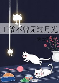 王爷不曾见过月光