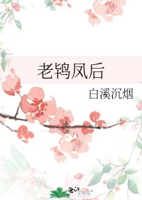 老鸨凤后