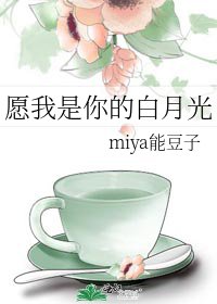愿我是你的白月光