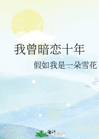 我曾暗恋十年