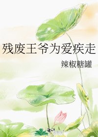 残废王爷为爱疾走