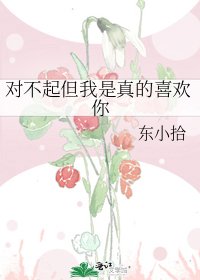 对不起但我是真的喜欢你