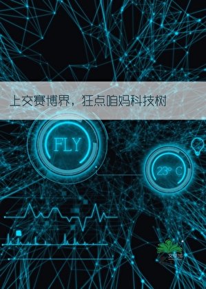 背靠祖国,制霸赛博!