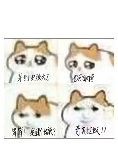 穿到虫族文,但是奇美拉蚁版