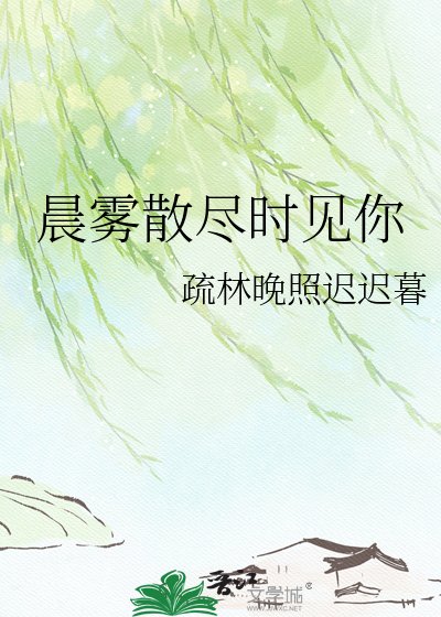 晨雾散尽时见你