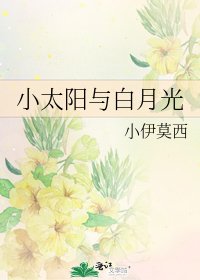 小太阳与白月光
