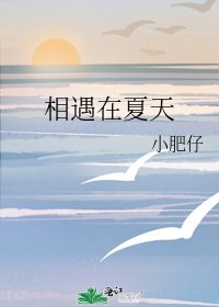 相遇在夏天
