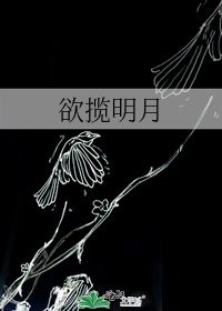 欲揽明月